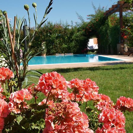 צ'זנה Villa Giusy B&B מראה חיצוני תמונה