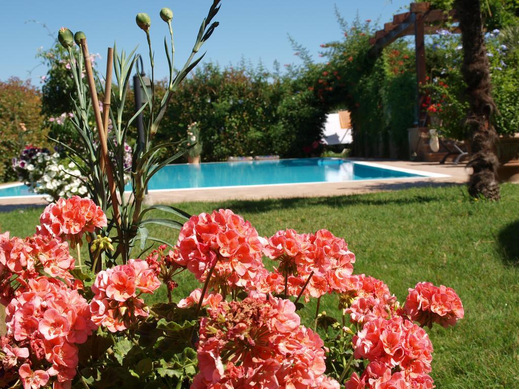צ'זנה Villa Giusy B&B מראה חיצוני תמונה